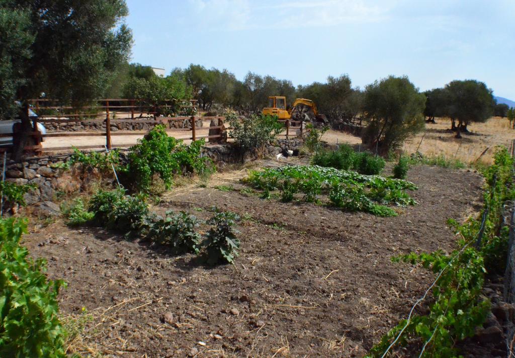 Agriturismo Pira Pinta Dorgali Buitenkant foto