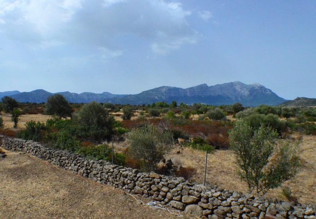Agriturismo Pira Pinta Dorgali Buitenkant foto