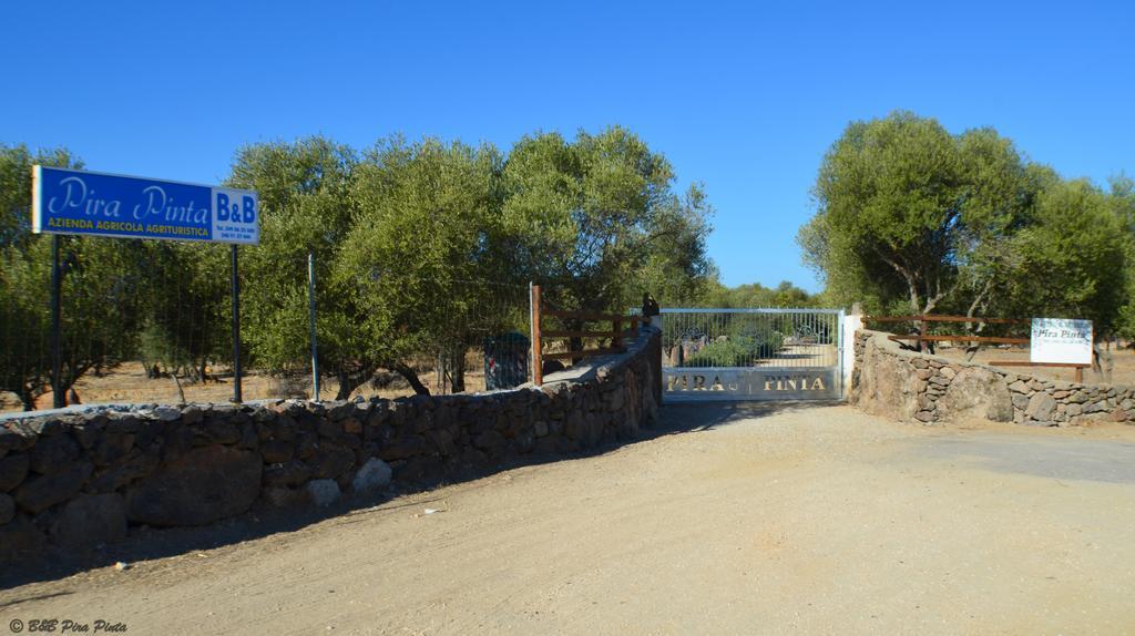 Agriturismo Pira Pinta Dorgali Buitenkant foto