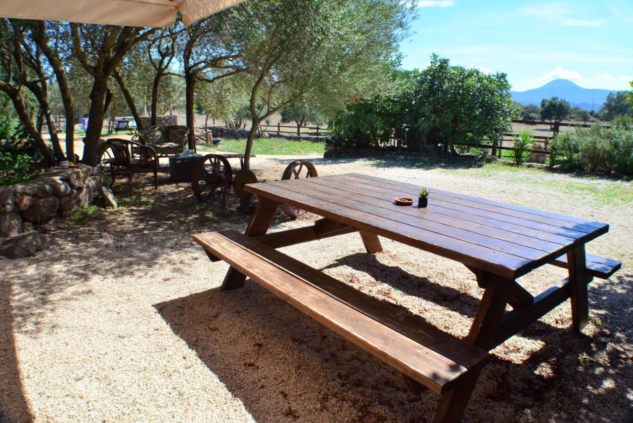 Agriturismo Pira Pinta Dorgali Buitenkant foto
