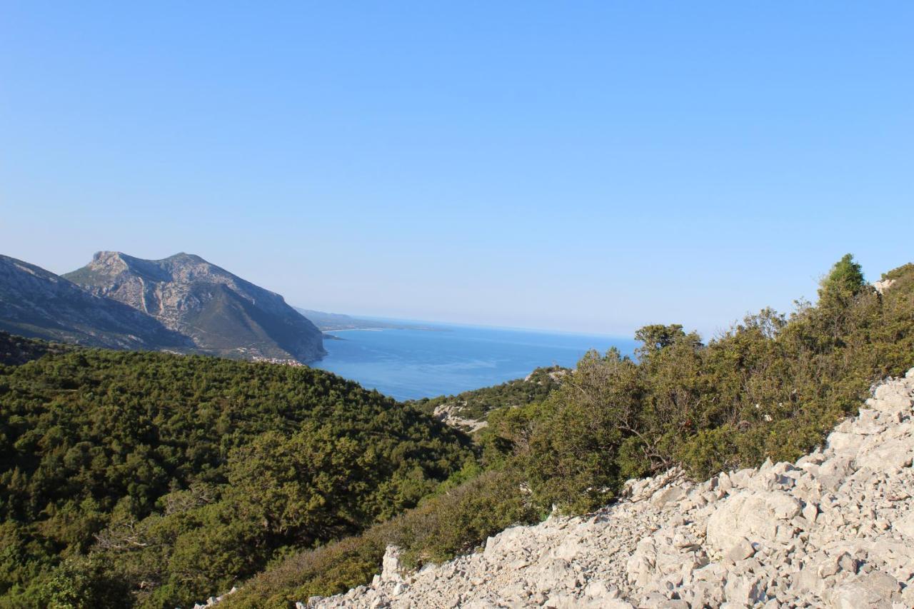 Agriturismo Pira Pinta Dorgali Buitenkant foto
